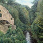 Jesmond Dene - 6