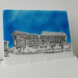 St James' Park large wall panel